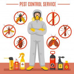 pest-control-service